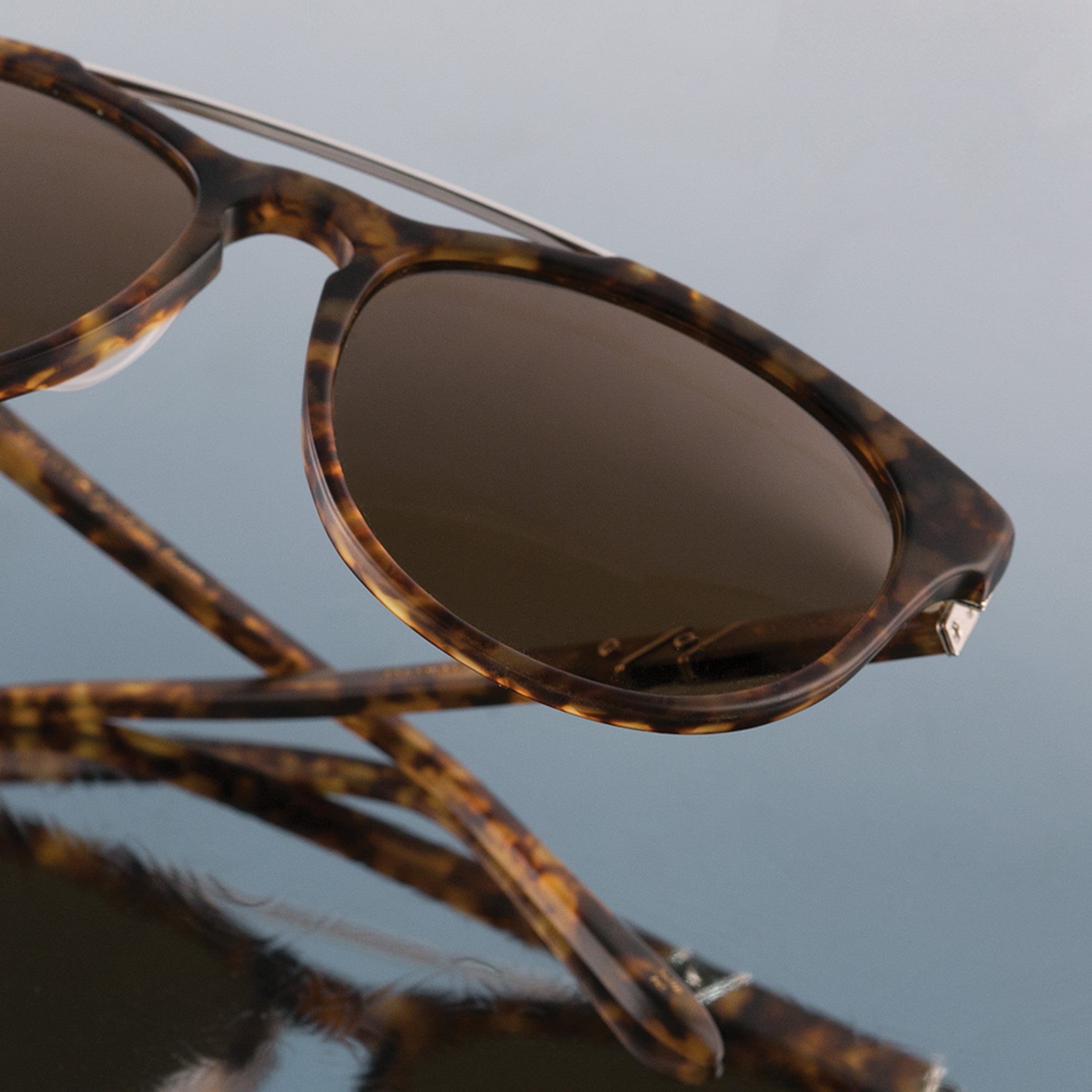 Trotter - Leisure Society