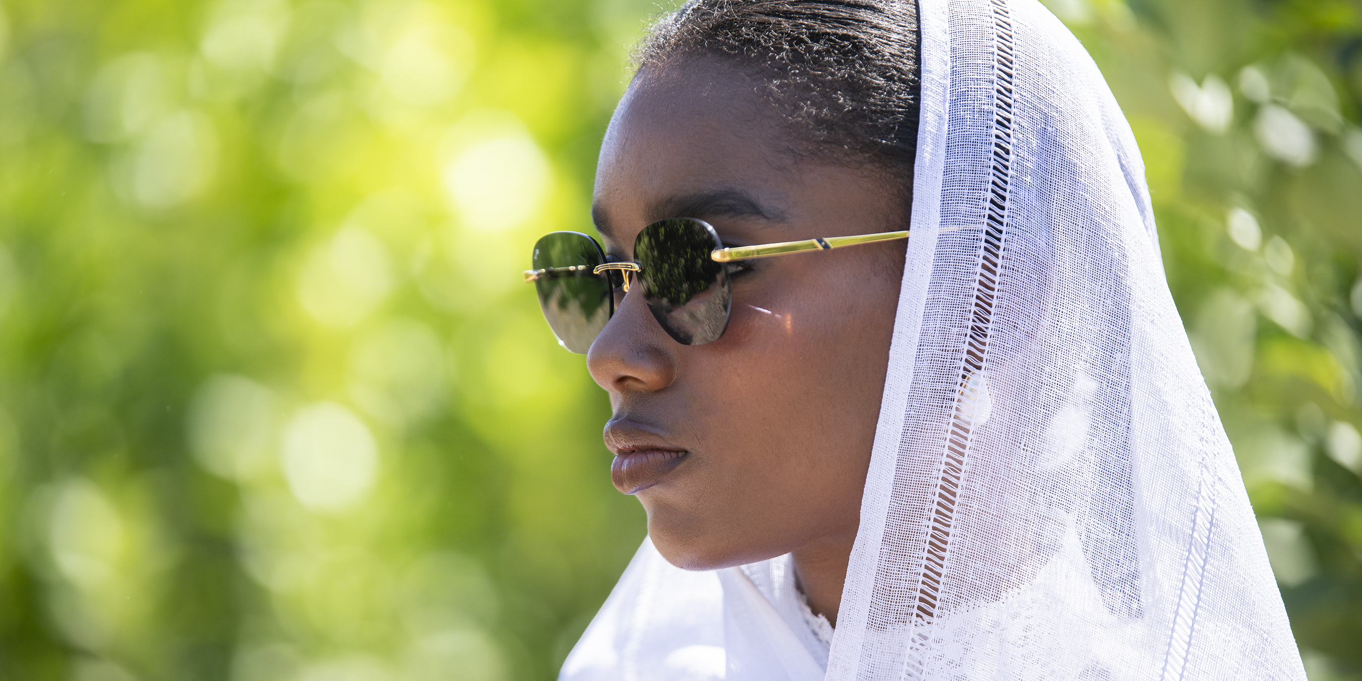 The Sunglasses Collection