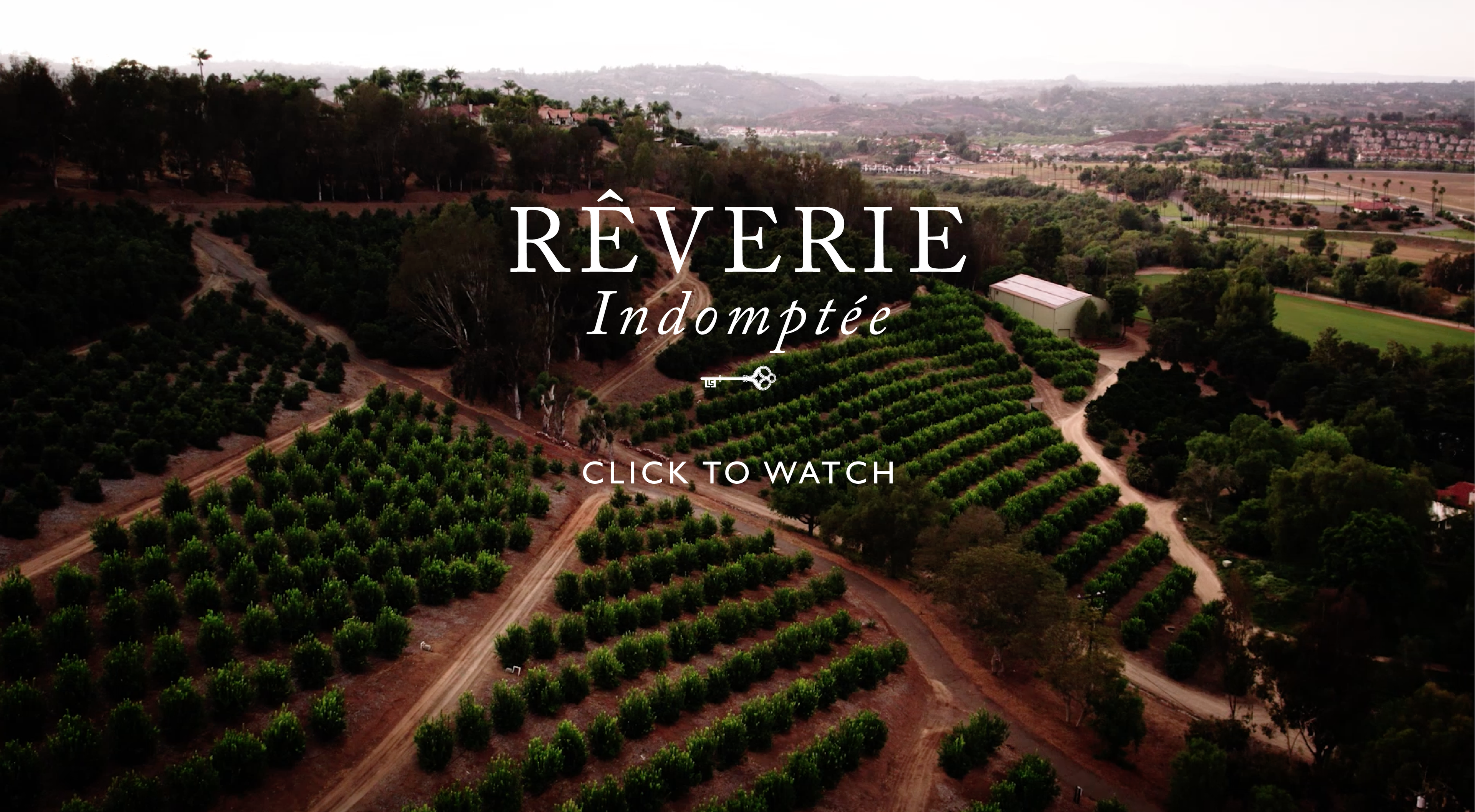 Load video: Leisure Society Presents : Rêverie Indomptée